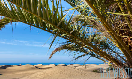 Ilse Wissink – accommodatieverhuur in Gran Canaria