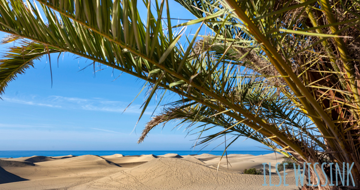 Ilse Wissink – accommodatieverhuur in Gran Canaria